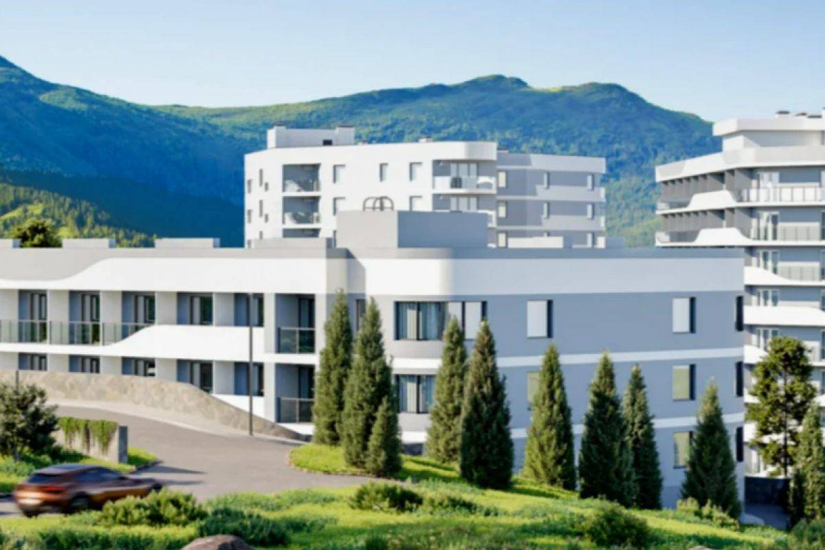 Cosmos Stay Hidden Yalta