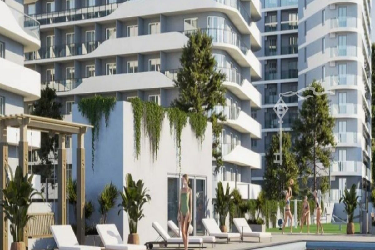 Cosmos Stay Hidden Yalta