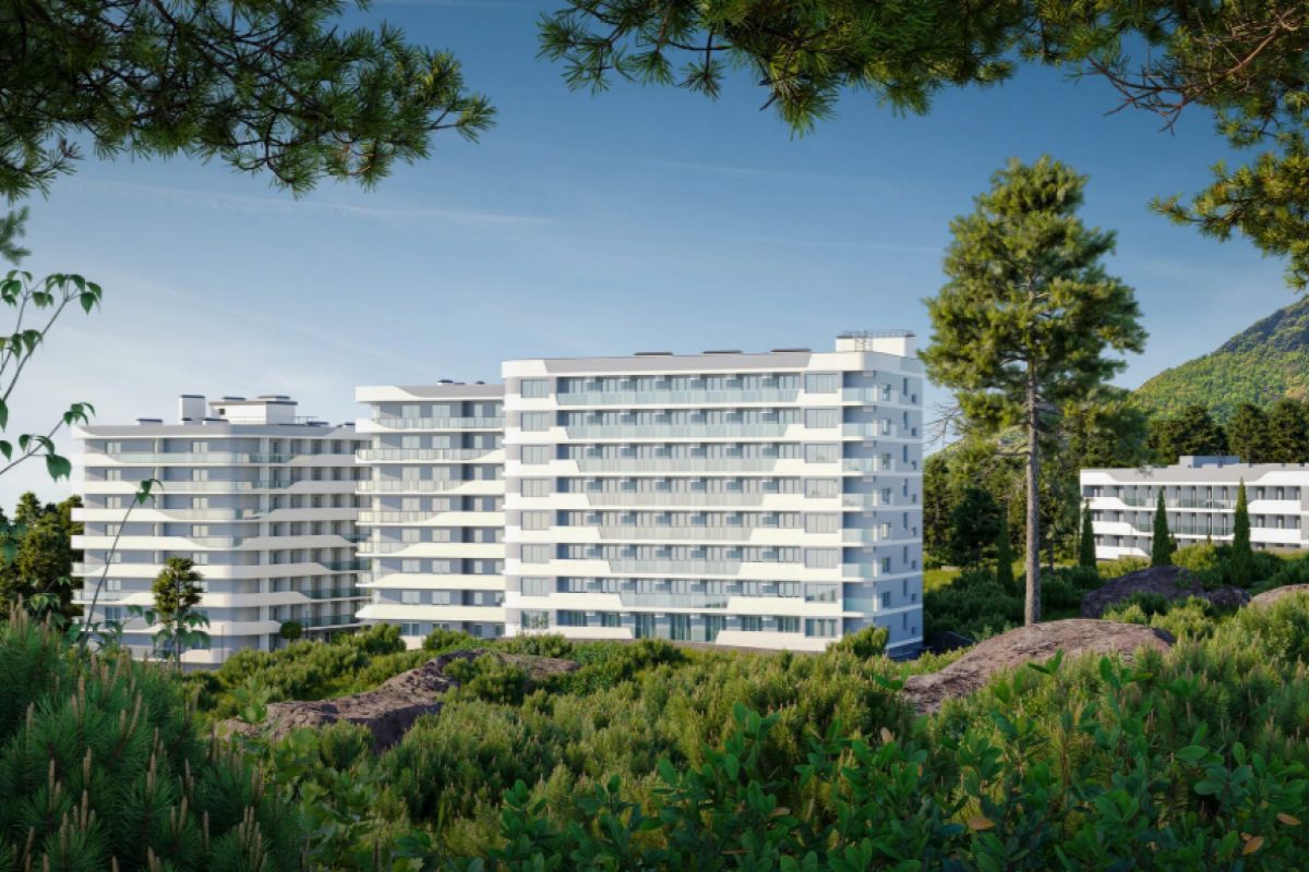 Cosmos Stay Hidden Yalta