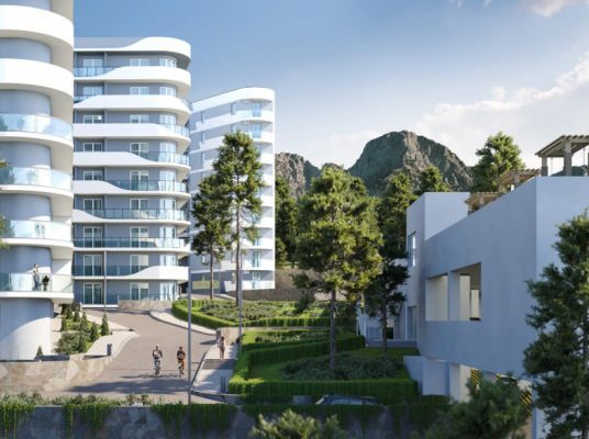 Cosmos Stay Hidden Yalta